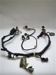 Main Wiring Harness Honda CBR600F4i 2002-2003